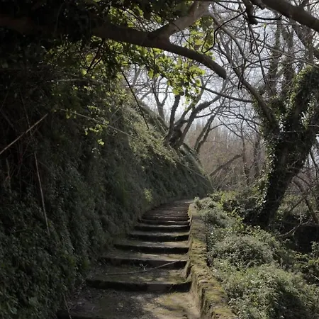 In With Air Conditioning, W-lan